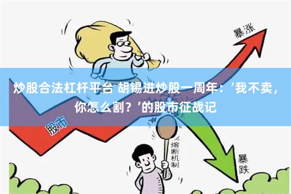 炒股合法杠杆平台 胡锡进炒股一周年：‘我不卖，你怎么割？’的股市征战记