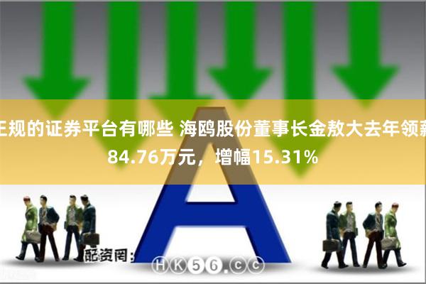 正规的证券平台有哪些 海鸥股份董事长金敖大去年领薪84.76万元，增幅15.31%