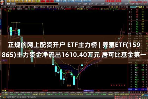 正规的网上配资开户 ETF主力榜 | 养殖ETF(159865)主力资金净流出1610.40万元 居可比基金第一