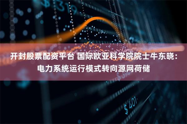 开封股票配资平台 国际欧亚科学院院士牛东晓：电力系统运行模式转向源网荷储