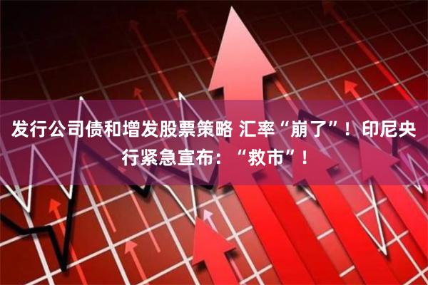 发行公司债和增发股票策略 汇率“崩了”！印尼央行紧急宣布：“