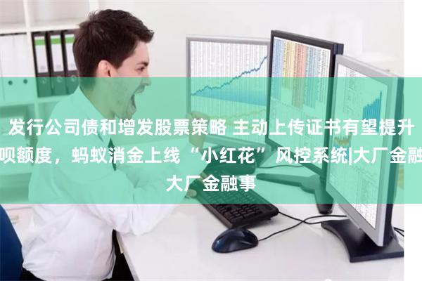 发行公司债和增发股票策略 主动上传证书有望提升花呗额度，蚂蚁
