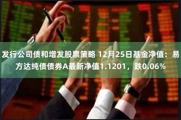 发行公司债和增发股票策略 12月25日基金净值：易方达纯债债