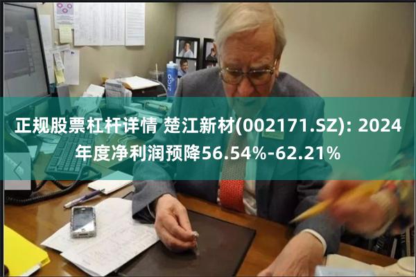 正规股票杠杆详情 楚江新材(002171.SZ): 2024